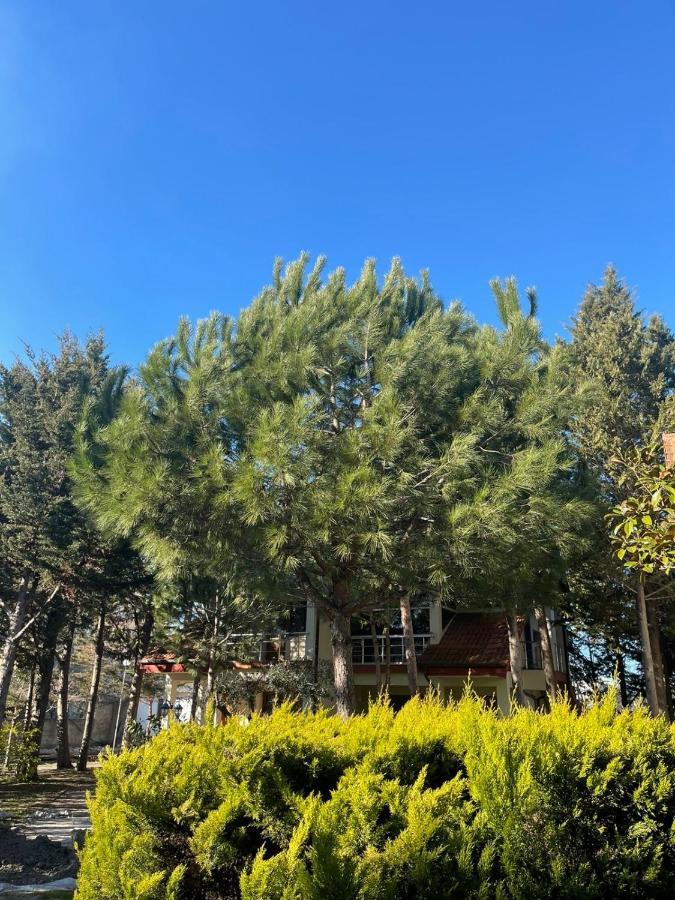 Hotel Garden Villa Ardo Golem  Ngoại thất bức ảnh