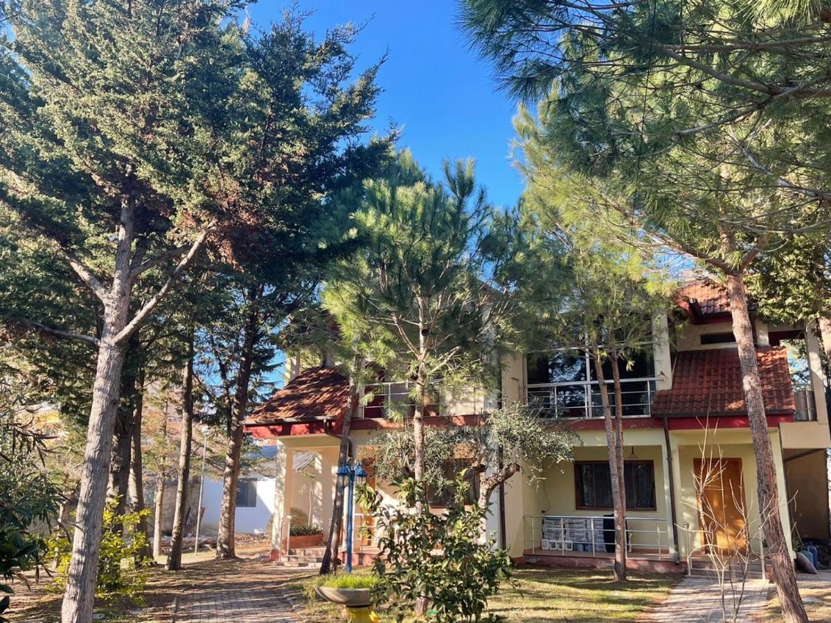 Hotel Garden Villa Ardo Golem  Ngoại thất bức ảnh